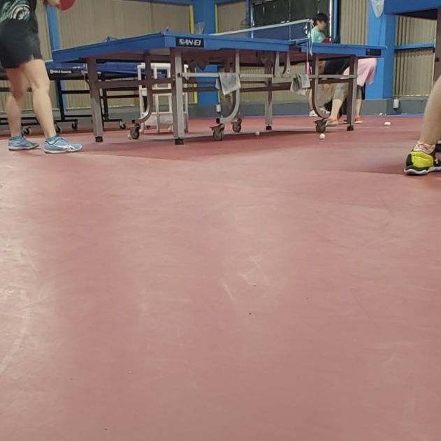 小川卓球場 1年以上使用後の赤マット